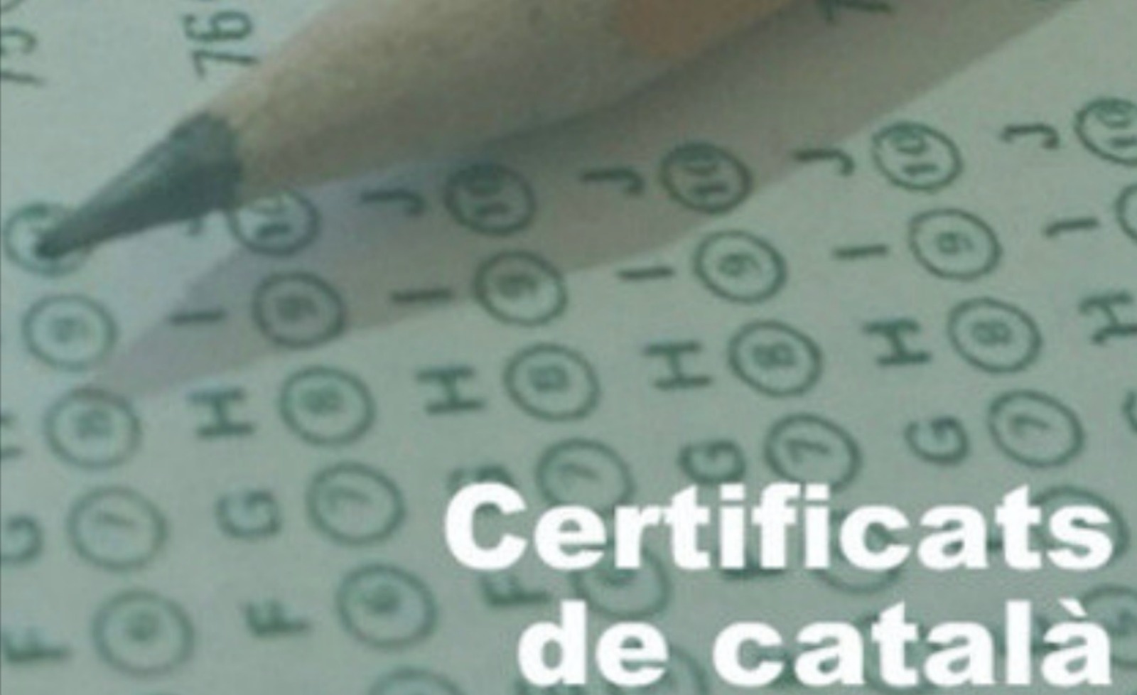 Política Lingüística modifica les dates dels exàmens per a l’obtenció dels certificats de català a causa de l’estat d’emergència