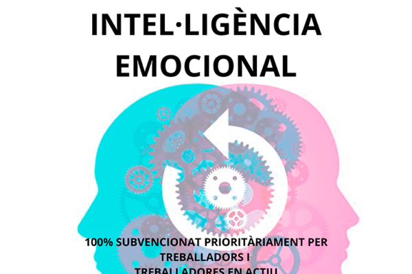 Intel·lgència emocional Torelló web